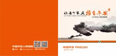 保險(xiǎn)行業(yè)形象展示企業(yè)畫冊印刷