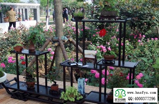 2015 南陽(yáng)月季展玉雕節(jié)已開(kāi)幕，花已開(kāi)好 君可來(lái)矣