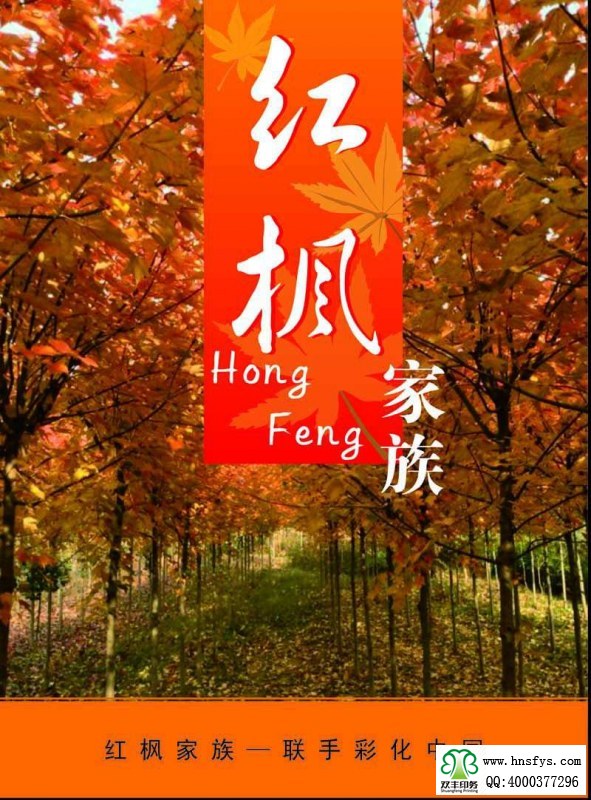 河南印刷廠:紅楓家族 宣傳畫冊