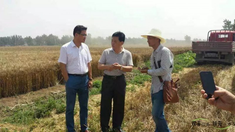 雙豐印務(wù)總經(jīng)理(市僑商會執(zhí)行常務(wù)副會長)陳世杰