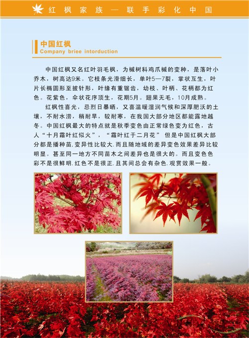 企業(yè)宣傳畫(huà)冊(cè)定制就選雙豐印務(wù)